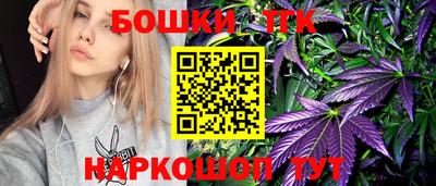 индика Гусев
