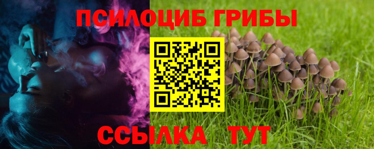 Галлюциногенные грибы Psilocybe  Вход с VPN  Павлово 